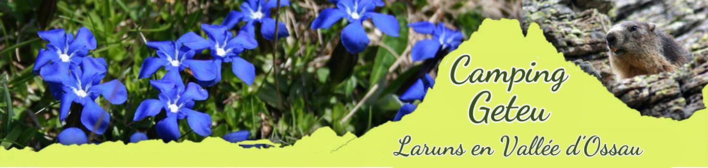 bandeau entete camping laruns geteu